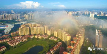 欽州發(fā)文加強房地產市場調控，促進房地產開發(fā)行業(yè)健康發(fā)展